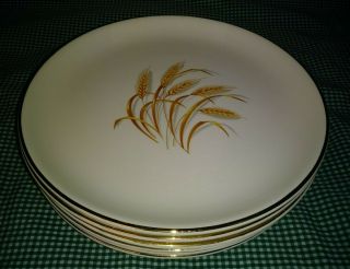 Vtg Set Of 6 Homer Laughlin Golden Wheat 9.  25 " Luncheon Plates 22k Gold Exc