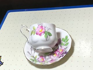 Royal Albert Bone China Hand Painted Dog Rose Tea Cup/saucer - D - 97