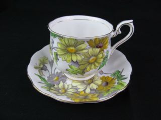Vintage Royal Albert Tea Cup & Saucer Daisy Flower Of The Month 4