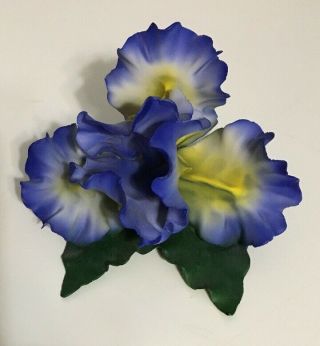Capodimonte Fabar Artistiche Porcelain Flower Bearded Iris Purple & Yellow Italy