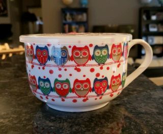 Ciroa Porcelain Christmas Red And Green Owls Microwavable Soup Bowl Timer Lid