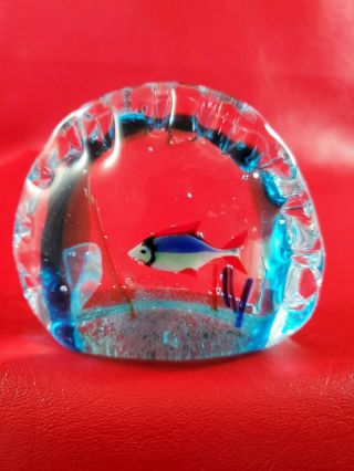 Vintage Murano Art Glass Tropical Fish Paperweight 5 " X 4 "