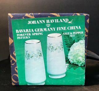 2 Pc Salt Pepper Shaker Johann Haviland Forever Spring Bavaria Germany