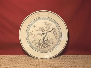 Royal Doulton China Asian Dawn Ls1032 Pattern Dinner Plate 10 3/8 "