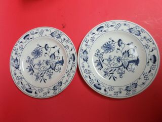 TWO ROYAL CHINA DOORN,  BLUE ONION 10 INCH DINNER PLATES 2