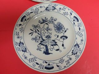 TWO ROYAL CHINA DOORN,  BLUE ONION 10 INCH DINNER PLATES 3