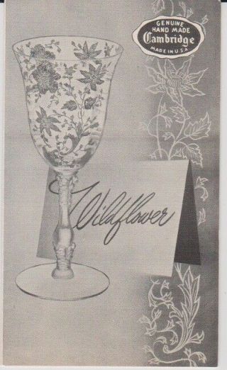 Cambridge Glassware Pocket Brochure Introducing Wildflower Pattern,  1950s?