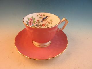 Aynsley Bone China Footed Cup & Saucer Pink Bird & Flowers On Branch 2902