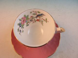 Aynsley Bone China Footed Cup & Saucer Pink Bird & Flowers on Branch 2902 2