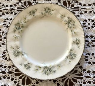Paragon First Love Dinner Plate