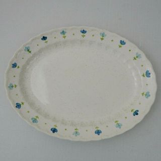 Vernon Ware By Metlox Serving Platter 12 " Hand Painted True Blue Pattern Floral