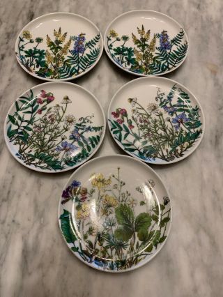 Ak Kaiser West Germany 5 Porcelain Mini Flower Fruit Plates/coasters Euc Vtg