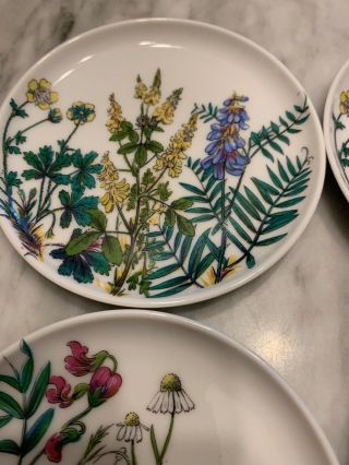 AK Kaiser West Germany 5 Porcelain Mini Flower Fruit Plates/Coasters Euc Vtg 2