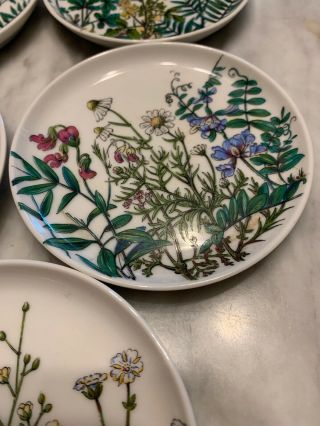 AK Kaiser West Germany 5 Porcelain Mini Flower Fruit Plates/Coasters Euc Vtg 4