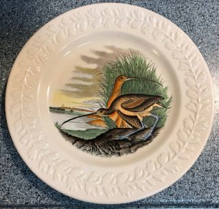 Set Of 4 John James Audubon " The Birds Of America " 10.  25 " Dinner Plates By Adams