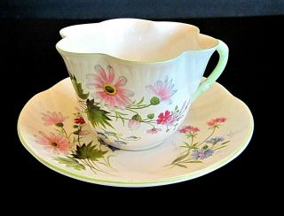 Vintage Staffordshire " Wild Flowers " Porcelain Tea Cup & Saucer,  England
