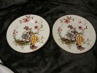 Vintage China Plate Set Of 2 Gold Trim Handpainted Floral Yellow,  Blue,  Brown,  Pink