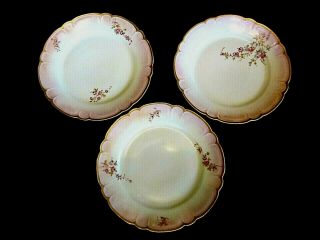 Vintage H.  & C.  Limoge,  France Hand Painted Porcelain Small Plates