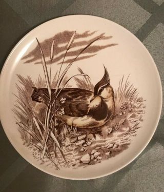 Set of Two (2) Copeland Spode China Game Birds Brown 7 & 28 Bread Butter Plates 3