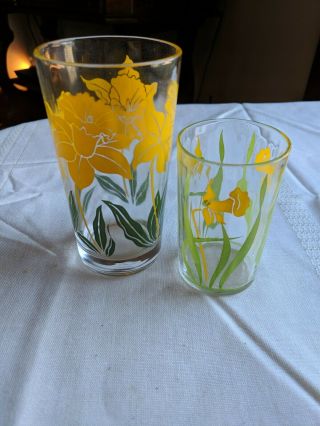 Vintage Retro Tumbler & Juice Glass W/daffodils