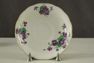 VINTAGE English China COLCLOUGH CHINA Teacup & Saucer 6616 Purple Violet Flowers 2