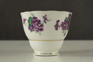VINTAGE English China COLCLOUGH CHINA Teacup & Saucer 6616 Purple Violet Flowers 5