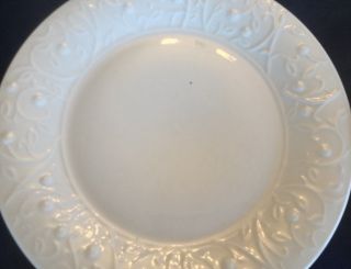 Four (4) The Cellar Tanglewood White Dinner Plates 10 1/2 " Embossed Leaf Rim