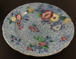 Copeland Spode 9 " Plate " Wild Flower " Blue With Colorful Flowers
