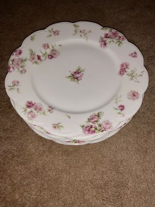 Antique China Plates Set Of 6 (haviland France Limoges) Very Desirable.