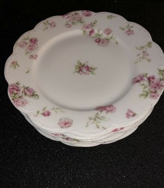 Antique China Plates Set Of 6 (Haviland France Limoges) Very Desirable. 3