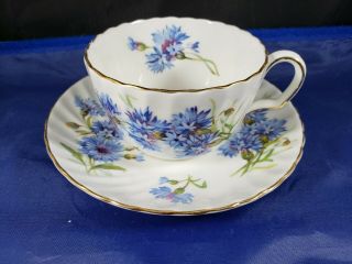 Adderly " Blue Cornflower " English Bone China Teacup And Saucer