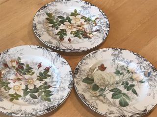American Atelier Rose Toile Porcelain 5232 Set Of 3 7.  5 Lunch Plates Salad