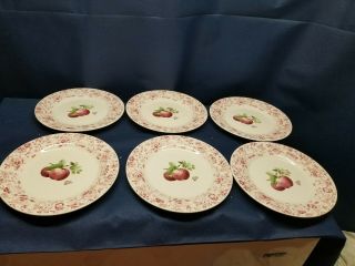 Pfaltzgraff " Delicious " Apple Butterfly Red Dinner Plates Set Of 6 Rare