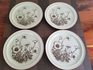 Noritake Desert Flowers 8341 Dinner Plate Set Of 4