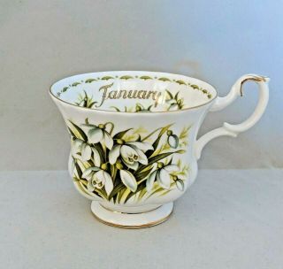 Royal Albert Flower Of The Month January Lily Of The Valley Tea Cup