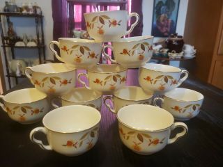 12 Halls Superior Quality Kitchenware Autumn Leaf Coffee/tea Cups