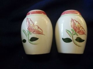 Stangl - Wild Rose - Salt & Pepper Shakers with Stoppers 4