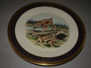 Lenox - Usa - Boehm Woodland Wildlife - Plate 10 5/8 " - 1980 Bobcats