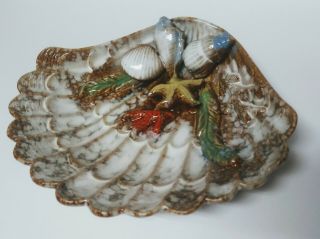 Majolica Glazed Art Pottery Shell Shaped Dish Raised Coral Starfish & Seashells