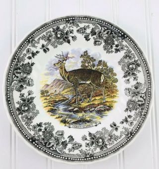 Churchill Vintage Game Salad Plate Deer Archive Illustrations 8”