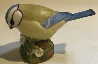 Aynsley Blue Tit Fine Porcelain Figurine Wild Bird Series Made In England