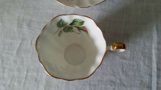 Vintage Adderley Fine Bone China Monique Tea Cup and Saucer Pink Roses England 4