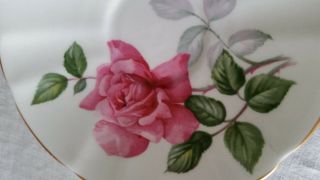 Vintage Adderley Fine Bone China Monique Tea Cup and Saucer Pink Roses England 5
