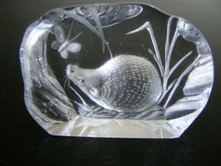 Vintage Glass Crystal Hedgehog & Butterfly Paperweight By Capredoni - Signed