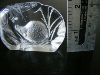 VINTAGE GLASS CRYSTAL HEDGEHOG & BUTTERFLY PAPERWEIGHT by CAPREDONI - SIGNED 4