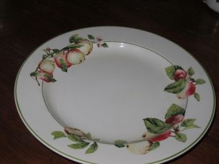 Martha Stewart Mtw20 Apple Blossoms Dinner Plate (s)