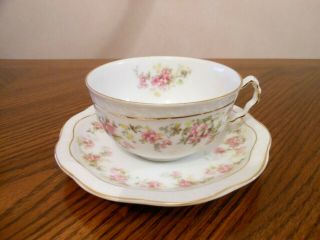 Antique Z.  S.  & Co Bavaria Orleans Pattern Zsc50 Tea Cup With Saucer