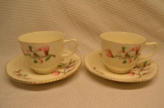 2 Vintage Homer Laughlin Dogwood Rare Tea Cup And Saucer Set Of Two