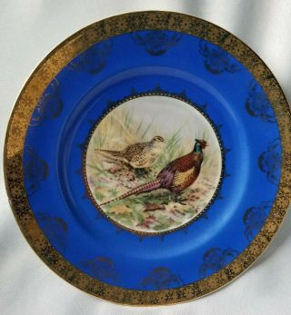 Stw Bavaria Germany Porcelain Pheasant Wall Plate Blue W/ Gold Edge 11 5/8 "