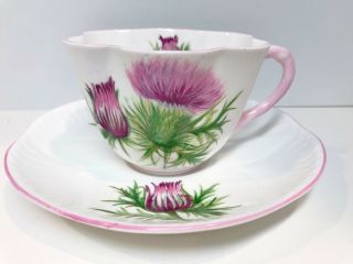Shelley Tea Cup And Saucer,  Thisel Teacup And Saucer